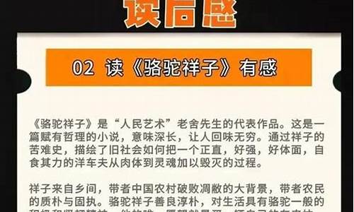 25篇名著读后感800字